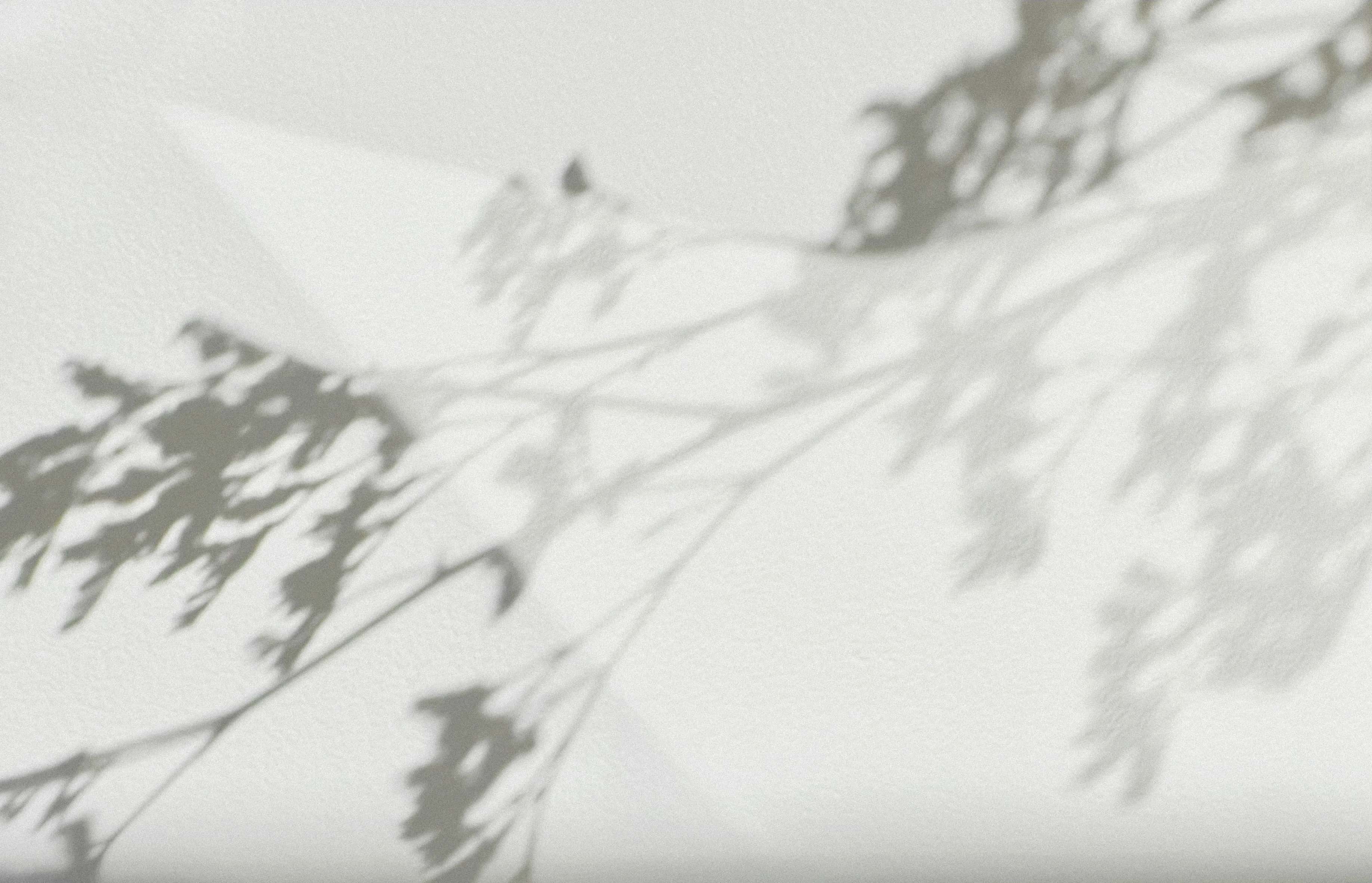 Splash Background